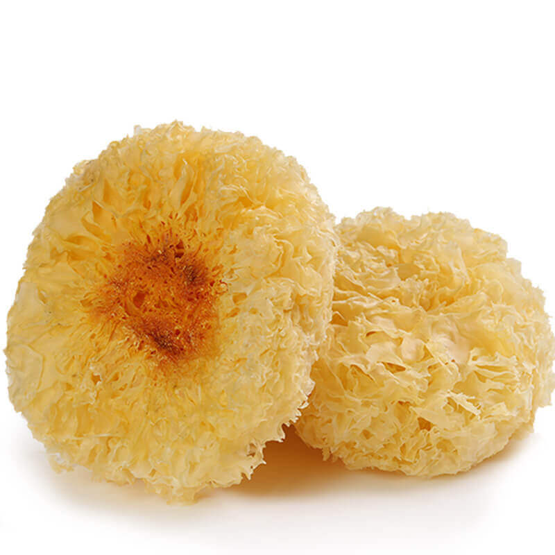 Tremella Drying Process